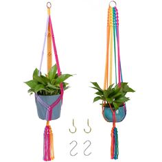 two hanging planters with plants in them