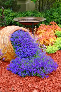 purple flowers are growing out of an old barrel in the middle of a flower garden