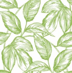 Sketched Leaves Peel-and-Stick Wallpaper in Greenery Leaf Peel And Stick Wallpaper, Greenery Wallpaper, Illustration Leaves, Leaves Sketch, Stair Risers, Wallpaper Pattern, Smooth Walls, Leaf Wallpaper, Modern Wallpaper