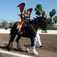 a woman riding on the back of a black horse