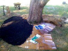 a pile of dirt sitting on top of a patch of grass next to a tree