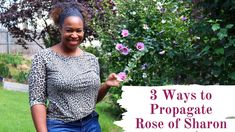 a woman holding flowers in her hand with the words 3 ways to propagate rose of sharon