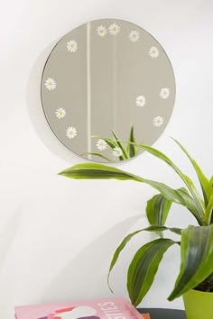 a potted plant sitting next to a mirror on a wall near a book and magazine