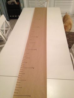 a ruler is on top of a table with white chairs and a cat in the background