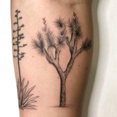 a small tree and some plants on the side of a woman's leg with black ink