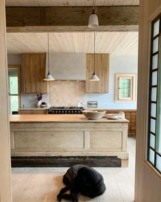 a dog laying on the floor in a kitchen