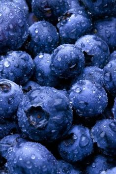 blueberries with drops of water on them are seen here in this close up image