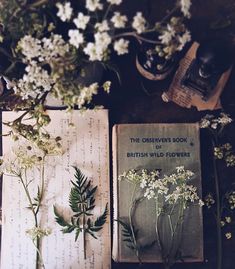 an open book sitting on top of a table next to flowers and other things in front of it