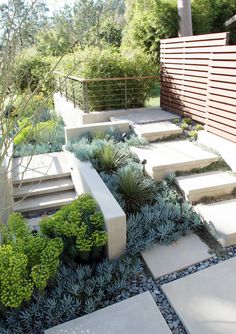 an outdoor garden with steps and plants