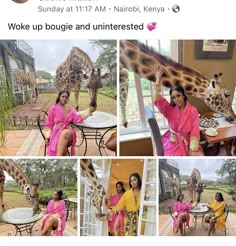 the woman is posing for pictures with giraffes in pink outfits and yellow dresses