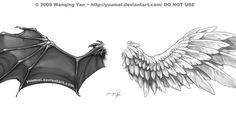 two different types of wings with one wing extended