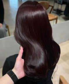 Dark Mocha Brown Hair Chocolates, Red Toned Dark Brown Hair, Soft Burgundy Hair, Plum Chocolate Hair Color, Deep Cherry Black Hair, Dark Brunette Hair With Red Undertones, Cherry Auburn Hair Color, Reddish Black Hair Color