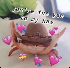 a crab wearing a hat with hearts on it's legs and the caption you're the yee to my haw