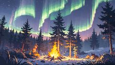 the aurora bore is lit up in the night sky over a campfire and trees