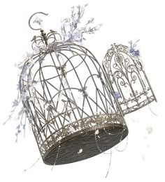 a birdcage with flowers hanging from it's side and another bird in the background