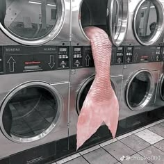 a pink fish tail hanging from the front of a washer machine in a public laundment