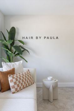 a white couch sitting next to a plant in a living room