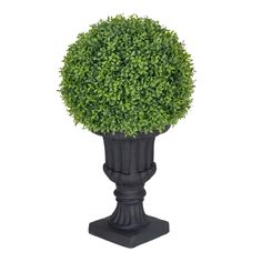 a potted plant is shown in the shape of a ball on top of a pedestal