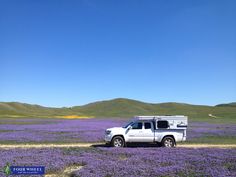 a truck is parked in the middle of a field with purple flowers and hills behind it