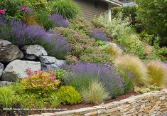 a garden with rocks and flowers in the foreground, along side a house on a hill