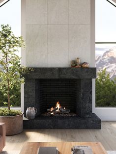 a living room with a fire place next to a large window and a potted tree