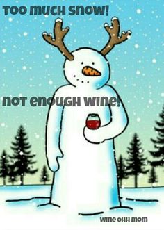 Too much snow not enough Wine {wine glass writer} www.wineglasswriter.com/?utm_content=bufferb3101&utm_medium=social&utm_source=pinterest.com&utm_campaign=buffer Winter Coffee, Woman Wine, Types Of Wine