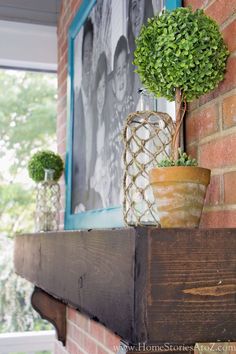 a potted plant sitting on top of a wooden shelf next to a brick wall