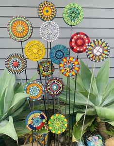 a group of colorful flowers sitting on top of a planter next to a wall