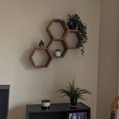 three hexagonal shelves on the wall above a black bookcase with a potted plant next to it