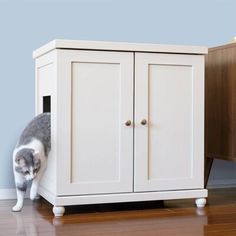 a gray and white cat hiding in a cabinet on the floor next to a wall