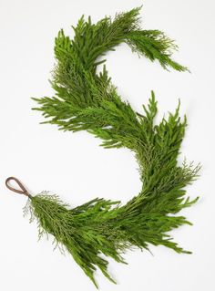 a pair of scissors are laying next to some green plants on a white surface,