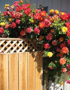 a wooden fence with flowers growing over it