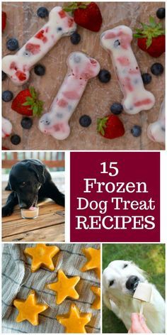 the top five frozen dog treat recipes