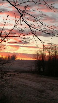 the sun is setting over a field with bare trees in the foreground and snow on the ground