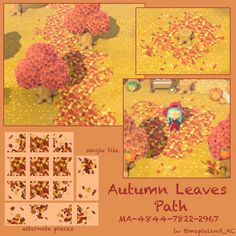 an autumn leaves path is shown in four different stages, including the fall colors and trees