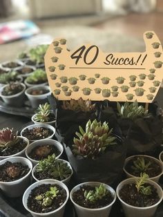 there are many succulents in small pots on the table with a sign that says 40 success