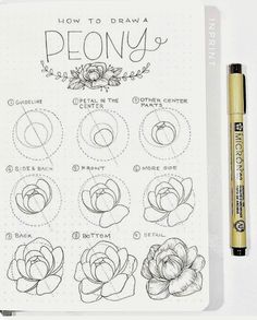 a drawing book with instructions for how to draw peony flowers on it and a pen next to it