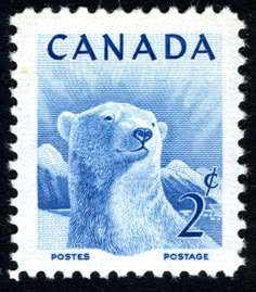 a postage stamp with a polar bear on it's face and the words canada written in