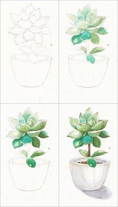 four drawings of plants in pots with one plant growing out of the top and bottom