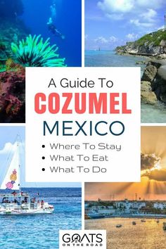 a guide to cozumel mexico where to stay, what to eat and what to do