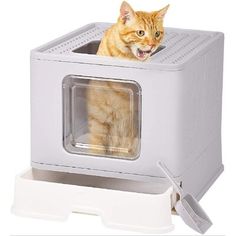 an orange cat sitting in a white toaster oven