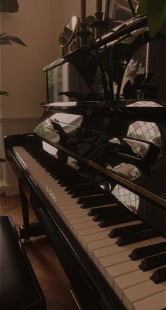 a black piano sitting on top of a hard wood floor next to a potted plant