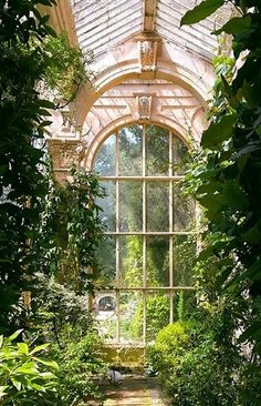 an open window in the middle of a garden with lots of greenery on either side