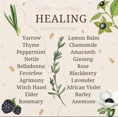 Herbs Of Virgo, Herbs Of Gemini, Protection Jars, Herbs For Healing, Kitchen Witch Recipes, Herbal Education, Art Planner, Foraging Recipes, Witch Herbs