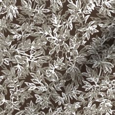 a brown background with white flowers and leaves on the bottom right corner is an image of snowflakes that appear to have been frosted over