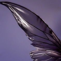 a close up view of the wing of a butterfly