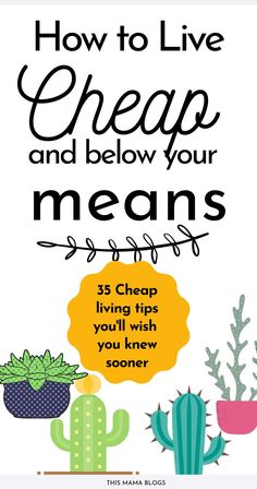 the cover of how to live cheap and below your measaff's