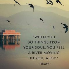 birds flying in the sky over water with a quote from rumi on it that reads, when you do things from your soul, you feel