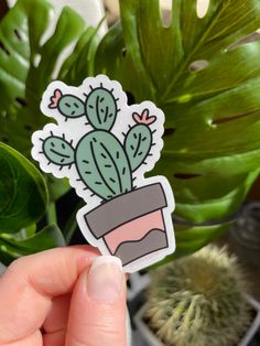 a person holding up a sticker with a cactus in it