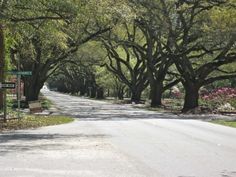 the road is lined with trees and signs